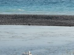 -赛里木湖风景名胜区