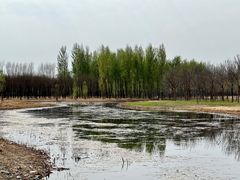 -东郊湿地公园
