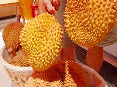 -邹开喜·炭炉鸡煲·海鲜火锅(虹口足球场店)