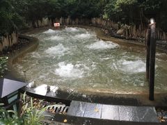 -常州环球恐龙城维景国际大酒店