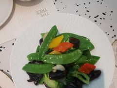 -大树餐厅(朝阳大悦城店)
