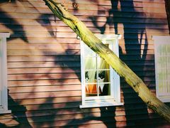 -三鹰之森吉卜力美术馆