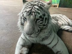 -齐齐哈尔龙沙动植物园