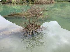 -靖西鹅泉风景区