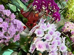 -循礼门鲜花花市(武汉循礼门店)