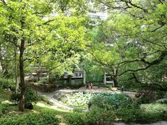 -香港大学