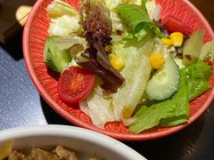 -黑松白鹿(崇文门新活馆店)