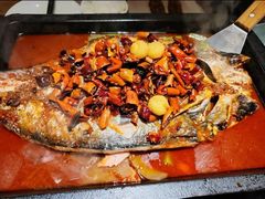 -夯鱼烤鱼·尔滨地标美食(国展店)