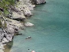-白鹭湾湿地公园
