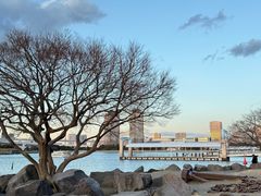 -台场海滨公园船码头
