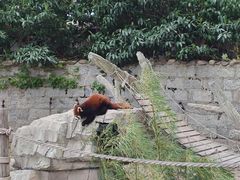 -上海野生动物园