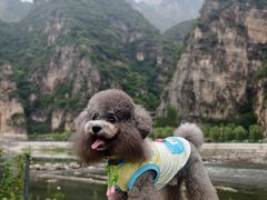 -十渡东湖港风景区