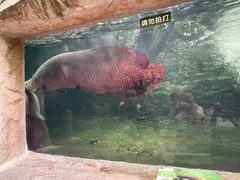 -青青世界
