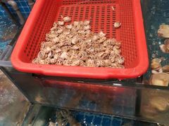 -鼎丰酒家·洋口宴(小洋口店)