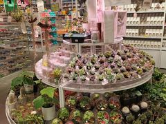 -KKV(深圳kk one 店)