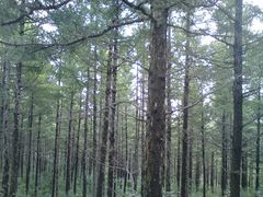 -白草畔自然风景区