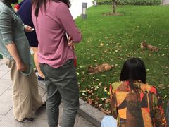 -陆家嘴世纪金融广场