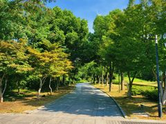 -相门城墙文化休闲景区
