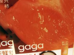 -gaga(深圳南山益田假日广场店)