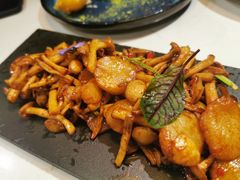 -荟廷·晶萃(陆家嘴尚悦湾店)