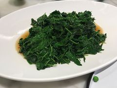 -蝶园·装修中(BFC外滩金融中心店)