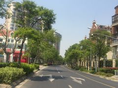 -新江湾城公园