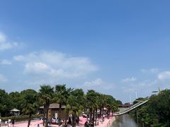 -苏州太湖西山岛开心农场