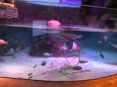 -沈阳海洋探索中心