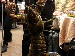 -鱼乐轩海鲜专门店