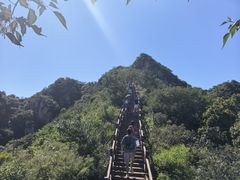 -大岭沟猕猴桃谷风景区