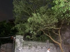 -老街无刺鲫鱼