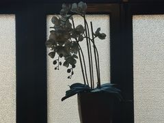 -静园(和平区)