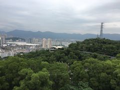-金鸡山公园