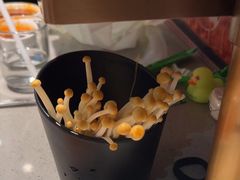 -海底捞火锅(步步高新天地店)
