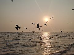 -老虎石海上公园