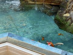 -57度湘(王府井10F店)