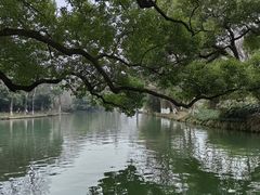 -西溪国家湿地公园