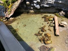 -西雅图水族馆