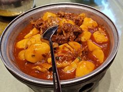 -刘胖子家常菜·蹄花焖藕(中央花园店)