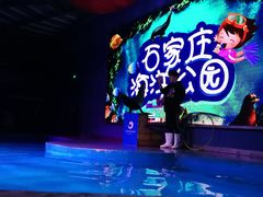 -石家庄海洋公园