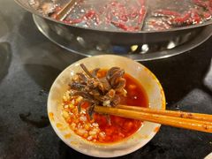 郡花-酒友老火锅(渝中店)