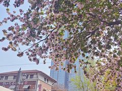 -天津五大道文化旅游区