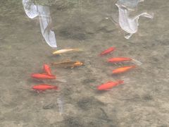 -云丘山景区