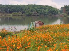 -海珠湖公园