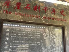 -大唐贡茶院