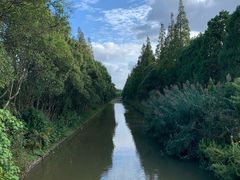 -上海长兴岛郊野公园