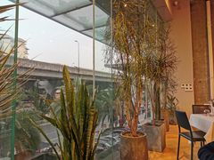 -我的四季意大利餐厅(春天百货店)