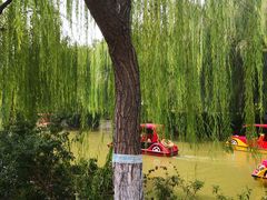 -南翠屏公园