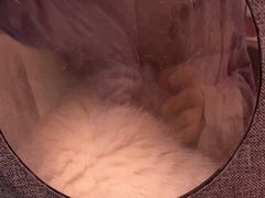-瑞派申生动物医院·24H夜诊·国际动物医疗中心·骨外科(吴中路店)