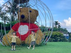 -三亚亚龙湾天域度假酒店